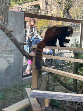 到津の森公園に投稿された画像（2023/1/9）