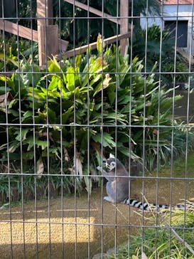 到津の森公園に投稿された画像（2023/1/9）