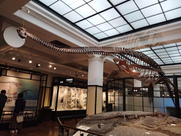 国立科学博物館に投稿された画像（2023/1/9）