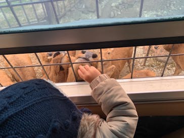 那須サファリパークに投稿された画像（2023/1/9）