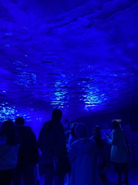 サンシャイン水族館に投稿された画像（2023/1/9）