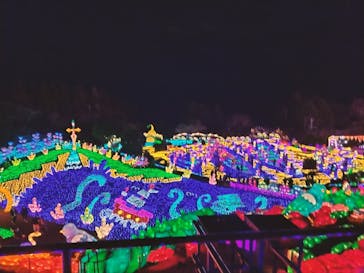 伊豆ぐらんぱる公園に投稿された画像（2023/1/9）