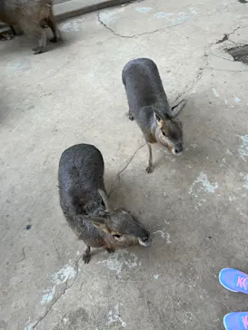 横浜・八景島シーパラダイスに投稿された画像（2023/1/9）