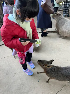 横浜・八景島シーパラダイスに投稿された画像（2023/1/9）