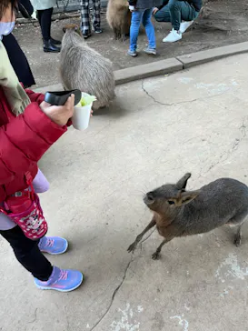 横浜・八景島シーパラダイスに投稿された画像（2023/1/9）