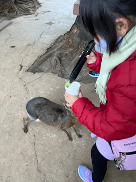 横浜・八景島シーパラダイスに投稿された画像（2023/1/9）