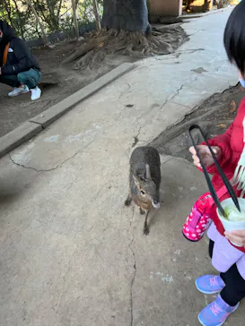 横浜・八景島シーパラダイスに投稿された画像（2023/1/9）