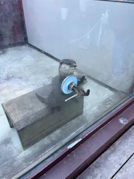 横浜・八景島シーパラダイスに投稿された画像（2023/1/9）