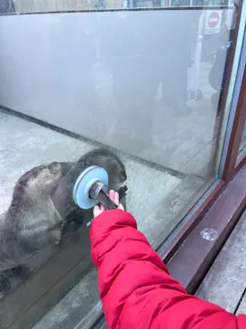 横浜・八景島シーパラダイスに投稿された画像（2023/1/9）