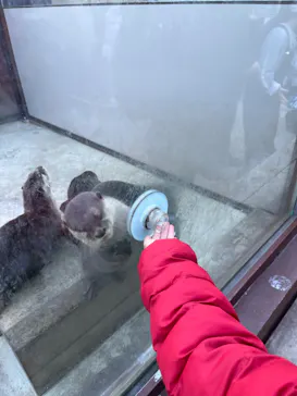 横浜・八景島シーパラダイスに投稿された画像（2023/1/9）