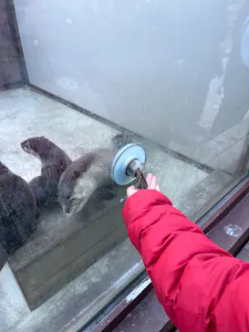 横浜・八景島シーパラダイスに投稿された画像（2023/1/9）