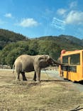 秋吉台自然動物公園 サファリランドに投稿された画像（2023/1/9）