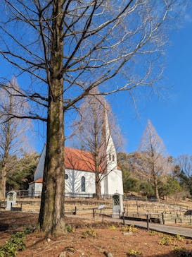 野外民族博物館 リトルワールドに投稿された画像（2023/1/9）