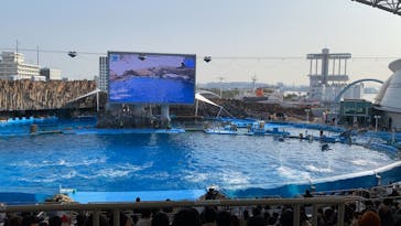 名古屋港水族館に投稿された画像（2023/1/9）