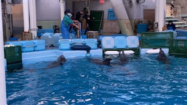名古屋港水族館に投稿された画像（2023/1/9）