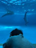 アクアワールド茨城県大洗水族館に投稿された画像（2023/1/9）