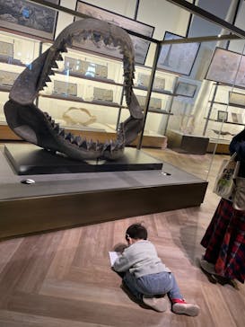 アクアワールド茨城県大洗水族館に投稿された画像（2023/1/9）