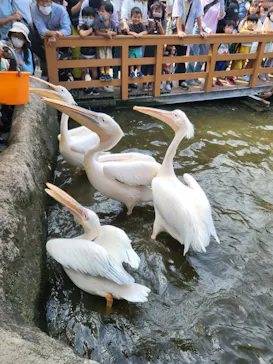 神戸どうぶつ王国に投稿された画像（2023/1/9）