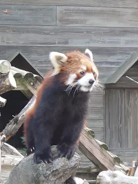 ひらかたパークに投稿された画像（2023/1/9）