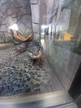 伊豆・三津シーパラダイスに投稿された画像（2023/1/9）