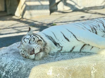 東武動物公園に投稿された画像（2023/1/9）