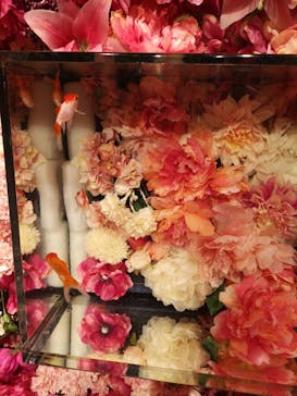 NARA KINGYO MUSEUMに投稿された画像（2023/1/9）