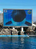 名古屋港水族館に投稿された画像（2023/1/9）