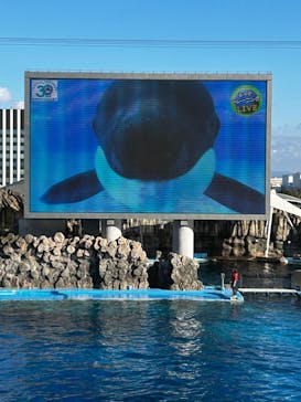 名古屋港水族館に投稿された画像（2023/1/9）