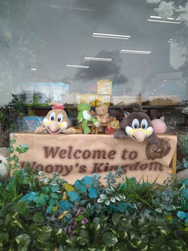 那須ハイランドパークに投稿された画像（2023/1/9）