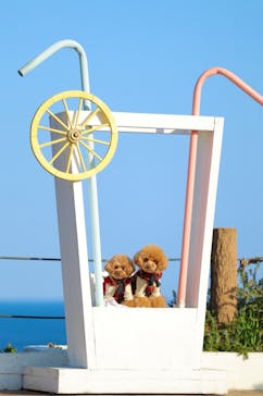 ニューヨークランプミュージアム＆フラワーガーデンに投稿された画像（2023/1/9）