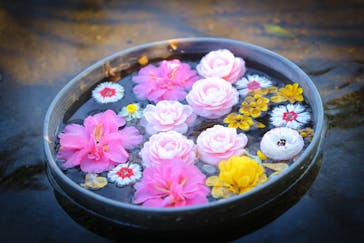 ニューヨークランプミュージアム＆フラワーガーデンに投稿された画像（2023/1/9）