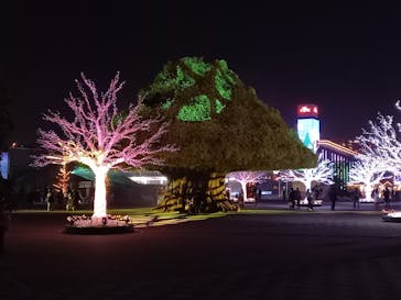 東京メガイルミに投稿された画像（2023/1/9）