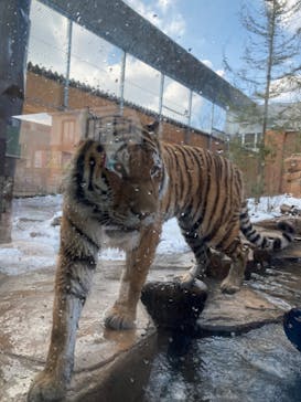 那須どうぶつ王国に投稿された画像（2023/1/9）