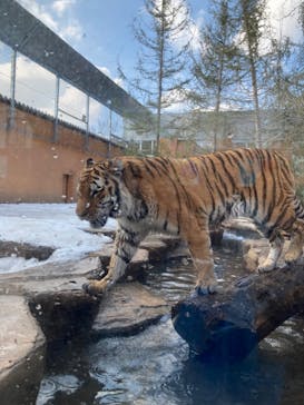 那須どうぶつ王国に投稿された画像（2023/1/9）