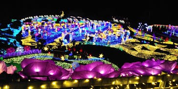 伊豆ぐらんぱる公園に投稿された画像（2023/1/9）