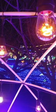 伊豆ぐらんぱる公園に投稿された画像（2023/1/9）