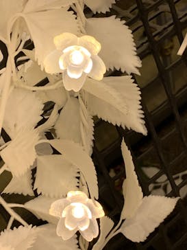 東京メガイルミに投稿された画像（2023/1/9）