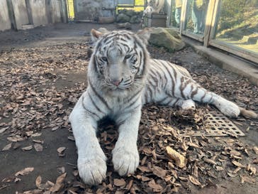 伊豆アニマルキングダムに投稿された画像（2023/1/9）