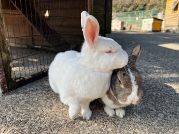 伊豆アニマルキングダムに投稿された画像（2023/1/9）