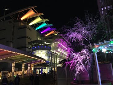 東京メガイルミに投稿された画像（2023/1/9）