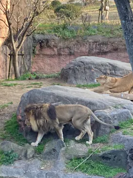 天王寺動物園に投稿された画像（2023/1/9）