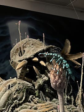 アニメージュとジブリ展に投稿された画像（2023/1/9）