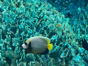 サンシャイン水族館に投稿された画像（2023/1/9）