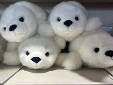 サンシャイン水族館に投稿された画像（2023/1/9）