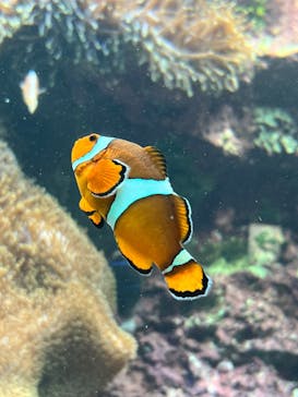 サンシャイン水族館に投稿された画像（2023/1/9）