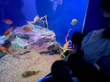 名古屋港水族館に投稿された画像（2023/1/9）