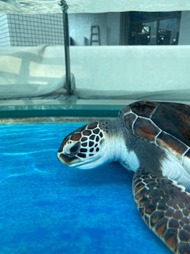 名古屋港水族館に投稿された画像（2023/1/9）