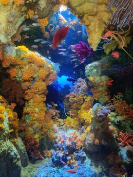 サンシャイン水族館に投稿された画像（2023/1/9）