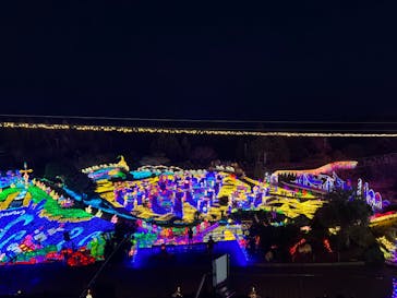 伊豆ぐらんぱる公園に投稿された画像（2023/1/9）