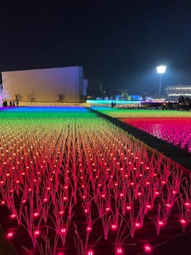 東京メガイルミに投稿された画像（2023/1/9）